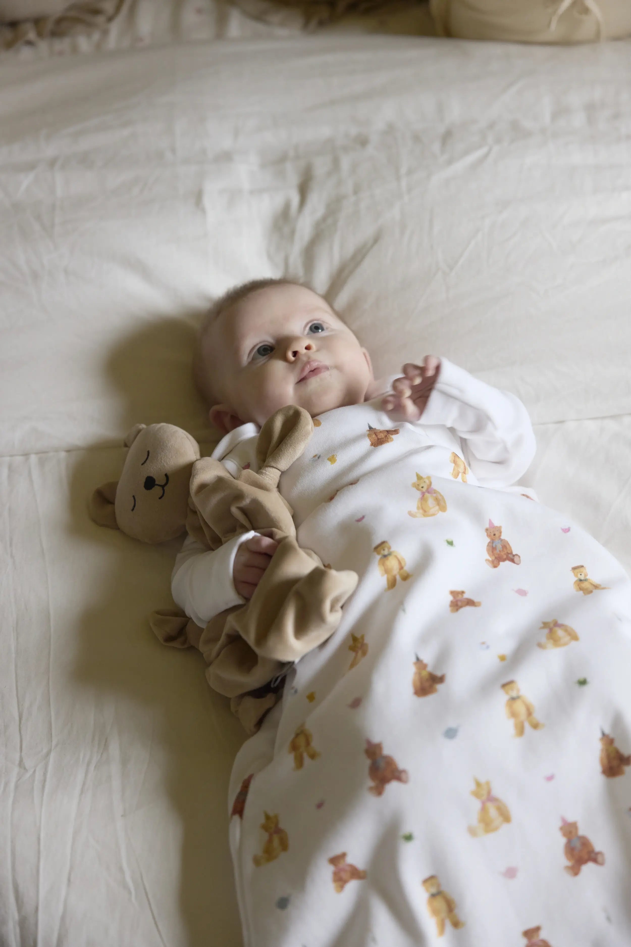 Teddy Bears Picnic Sleeping Bag - organic cotton baby product by First Chapter Co (image 4)