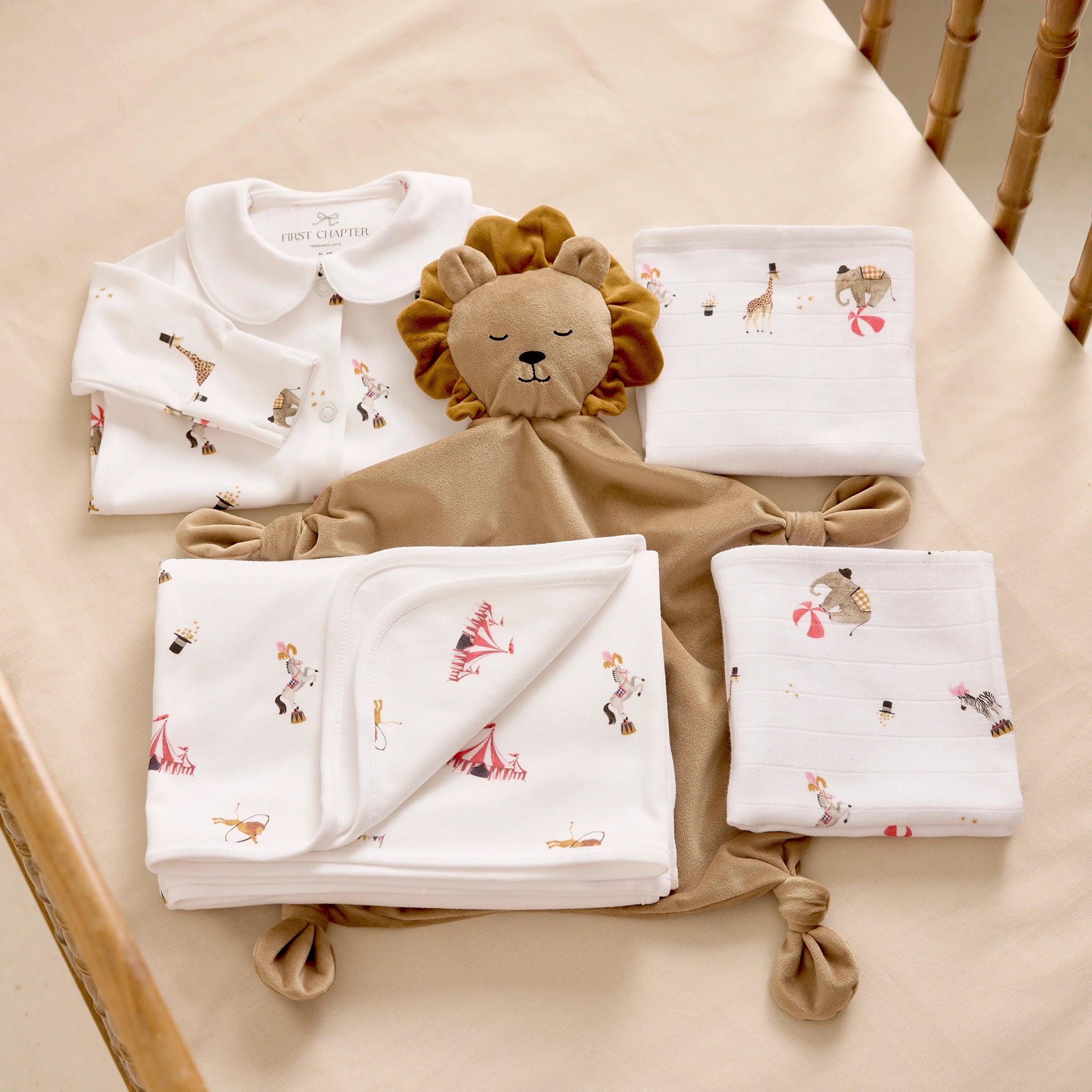 First greetings - Circus - organic cotton baby product by First Chapter Co